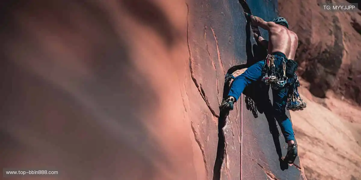 🏆【限量首发】冠军同款，专属你的荣耀珍藏！